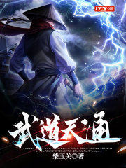武道天下小说下载